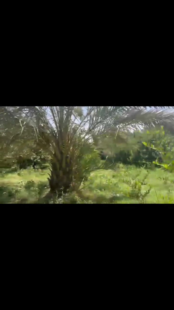 ٦ دوانم • سند منفرد • شارع نجف كربلاء