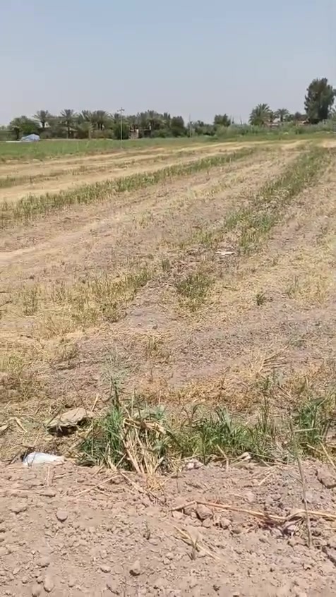 أرض زراعيه2دونم  طابوا 25 على طابوا المحموديه تتوفر فيها جميع الخدمات.في منطقة الرضوانيه معمل زينب بسعر مناسب.للاتصال والاستفسار على الارقام التالية
@ض***********ابو أيوب الخالدي 
***********ابو مثنى الحمداني
أرض زراعيه2دونم  طابوا 25 على طابوا المحموديه تتوفر فيها جميع الخدمات.في منطقة الرضوانيه معمل زينب بسعر مناسب.للاتصال والاستفسار على الارقام التالية
