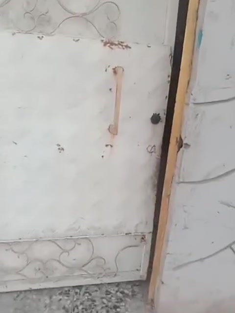 السلام عليكم عندي بيت للبيع معالف بل الربيعي لي ٢غرف ومحل وصحيات 2واستقبال وحولي ومطبخ والبيت جبير قريب على الشارع مساحه 170 قرب افران المنتظر السعر خاص ***********
