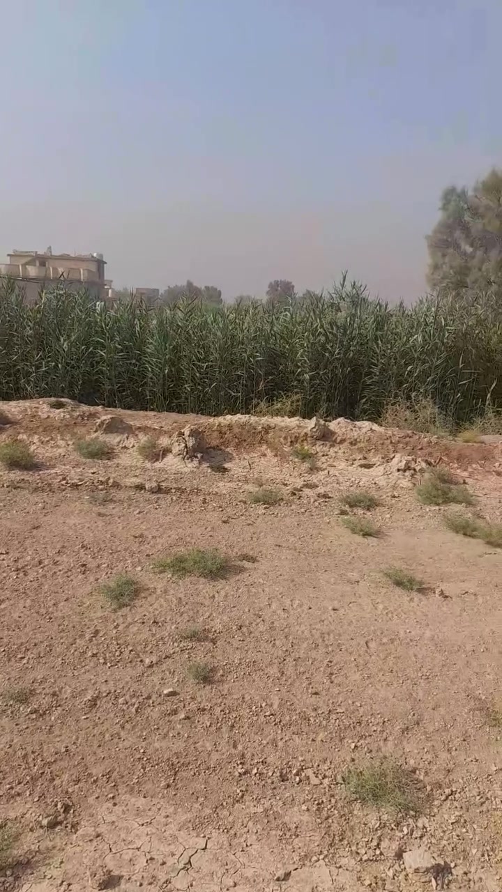 السلام عليكم ارض زراعيه للبيع مساحة من ٥ دونم إلى ٤٠ دونم حسب مكانيت المشتري الأرض بيه كل الخدمات ماء سقي وماء بوري اسأله ول كهرباء قريبه عليه تصلح سكن ومشاريع وزراعة مكان الأرض بغداد النهروان ٩نيسان عقد زراعي ١١٧ وحياكم الله *********** ***********

