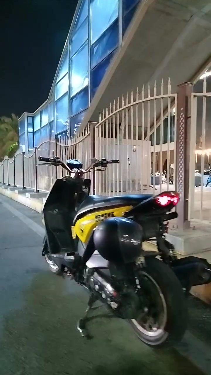 سكنس جبلي • 2013 • معدل