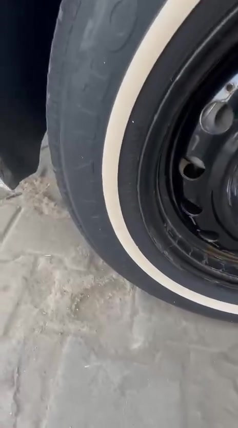 جمعه مباركه حبايب
تحويره تخم ويل مازده وتخم تاير خط ابيض صيني جديد
ترهم النتره وكورله خليجي وفورتي وسيراتو 

وسيبايه مال ابو عمار انتاج جديد لطويله ترهم النتره وسيراتو 

وتخم كبات شوفر 63 موجود لصور والفيديو وتفاصيلهن يمي 

أستفسار اكثر اتصل *********** سيد محمود 

ملاحضه//// ينباعن كلهن بيعه وحده ما ابيع سلعه وحده 

وتدللون 🥀🥀
