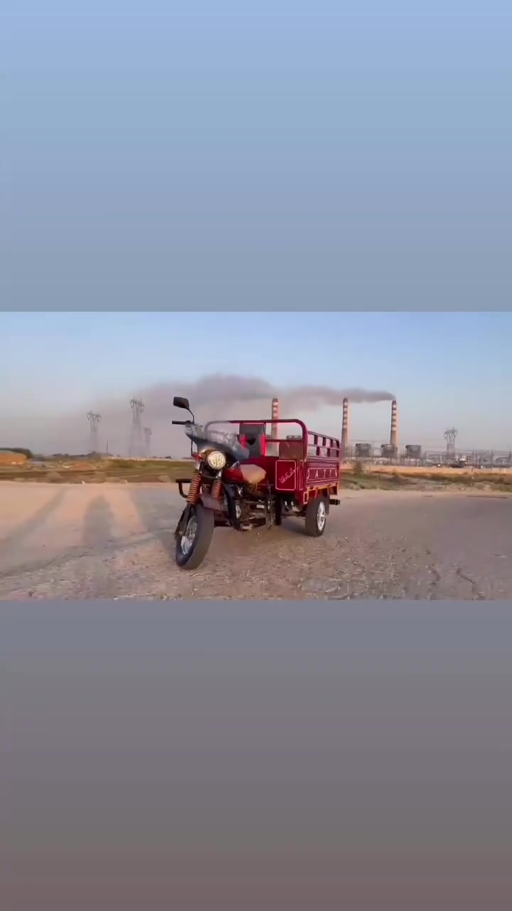 ***********
81
