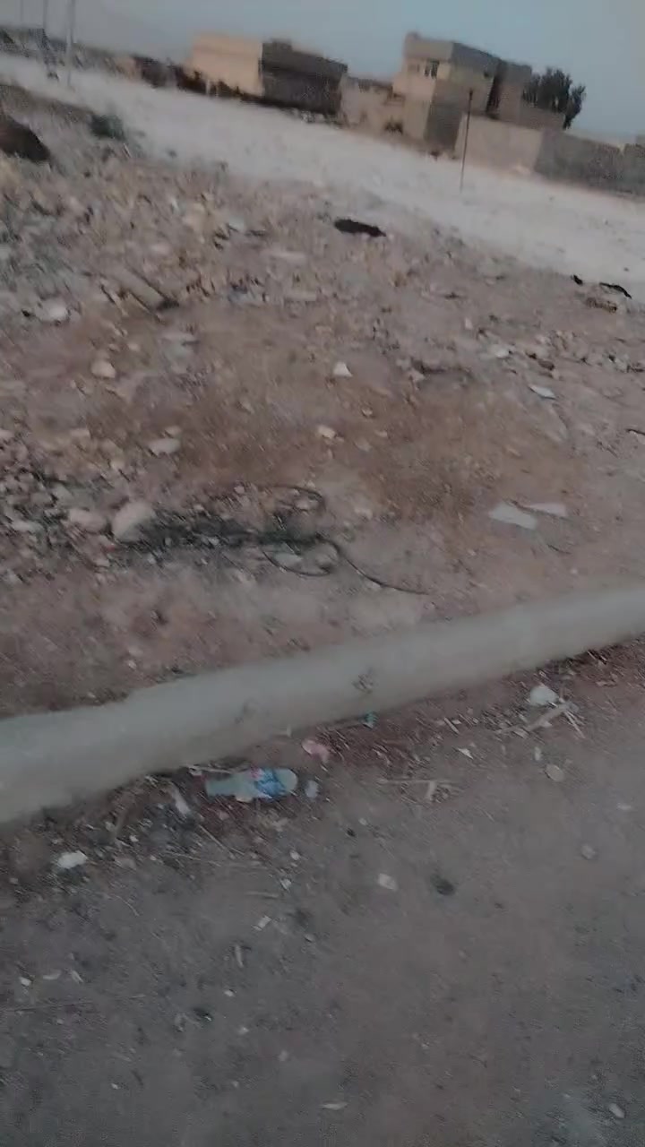 ***********
