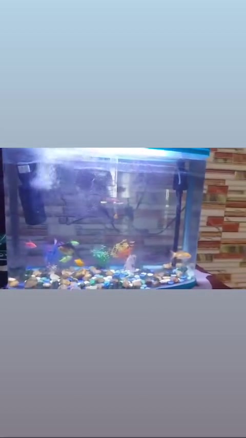 للبيع حوض سمك 3D اسعر 100 بدون اسماك
***********
