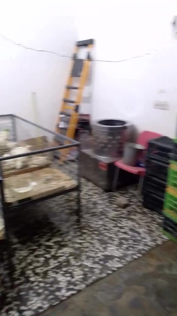 السلام عليكم محل للبيع كامل  كل غراضه للبيع مكينه اميوزه 2 ابريمز قنينه على الشغل سبب التفرغ العنوان العبيدي الاستفسار ***********
