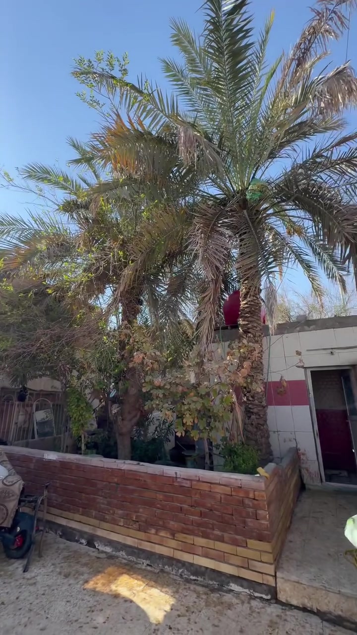 سلام عليكم بيت البيع. طابو صرف  باسم المشتري
عنوان البيت كرمة علي حي رساله  البيت مساحته 250 متر  طابقين. الطابق الول ديوان مساحته ٧في ٤وهول  مساحته ٥في ٦
وغرفتين وحمام داخلي وحمام خارجي  ومطبخ  
الطابق الثاني  غرفتين. وحمام. ومطبخ  البيت كله سقف ثاوني وسراميك  السعر ١٨٠ مليون وبي مجال 
***********
