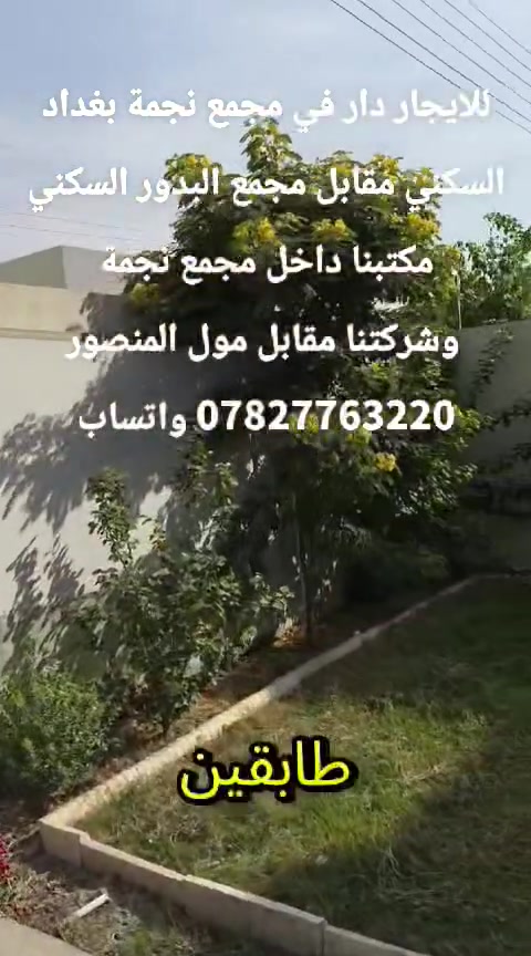 مجمع نجمة بغداد • مقابل البدور • للإيجار