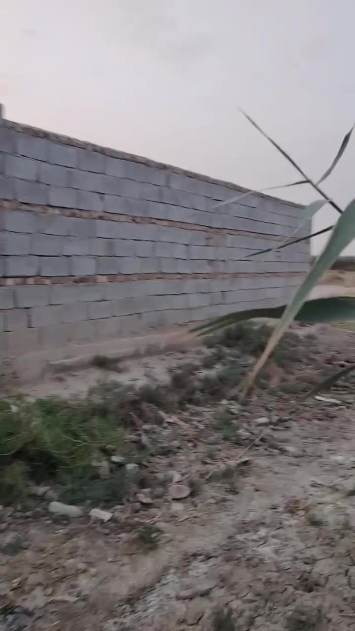 السلام عليكم ورحمة بيت هيكل مساحه ٤٠٠ للبيع زراعي ع الشارع العام من جهة النصر قرب جملون حيدر الخزرجي ب الشارع الي وراه البيت مصور من قبل البلديه يعني مسجل مشيد للاستفسار هذا صاحب البيت ***********
