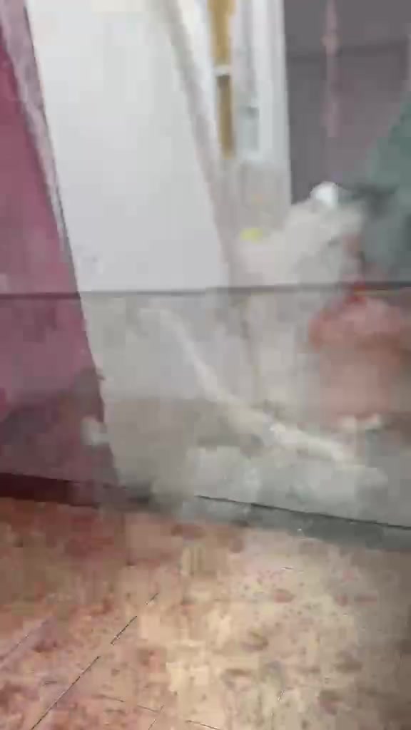 مشتمل قاطين للبيع طابو صرف المساحه بل سند 47 واقع حال 50 متر جبه 4 نزال 12ونص متكون من استقبال ومطبخ وترك وصحيات جوه قاط الثاني غرفه كبيره وغرفه صغيره وصحيات بيت بحتاج ترميم السعر80  مليون وبي مجال العنوان الشعب قرب مثلجات تفاحه؛ شارع 15 اول فرع المشتمل بصف الركن يبعد عن فلكه سوق شلال 5 دقائق الاستفسار واتساب ***********
