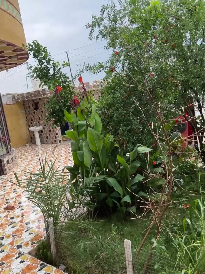 بيت مساحة 325 متر للبيع بشارع نعيم للهاتف النقال من جهة شارع النفط و بنزلة حسينية قائم ال محمد من جهة البيضاء شارع رئيسي و ليس فرعي مجاري الشارع كاملة باقي بس صب الشوارع ، بناء البيت طابوق و السقف صب مسلح بناء مرتب و كامل من جميع النواحي يحتوي على استقبال و صالة و غرفتين و مجمع صحيات داخلي و خارجي و يحتوي على محل تجاري السعر على الخاص او الاتصال على الرقم ***********

