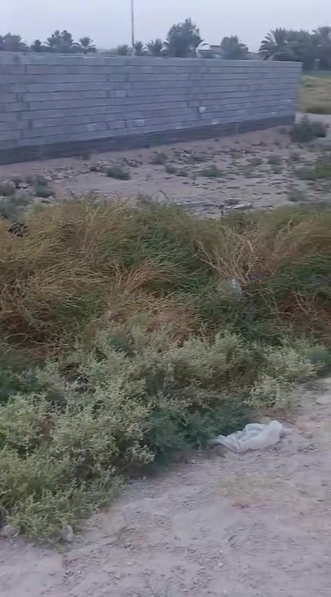 قرب الحولي والمصلخ • ٢٣٠متر • طابو زراعي