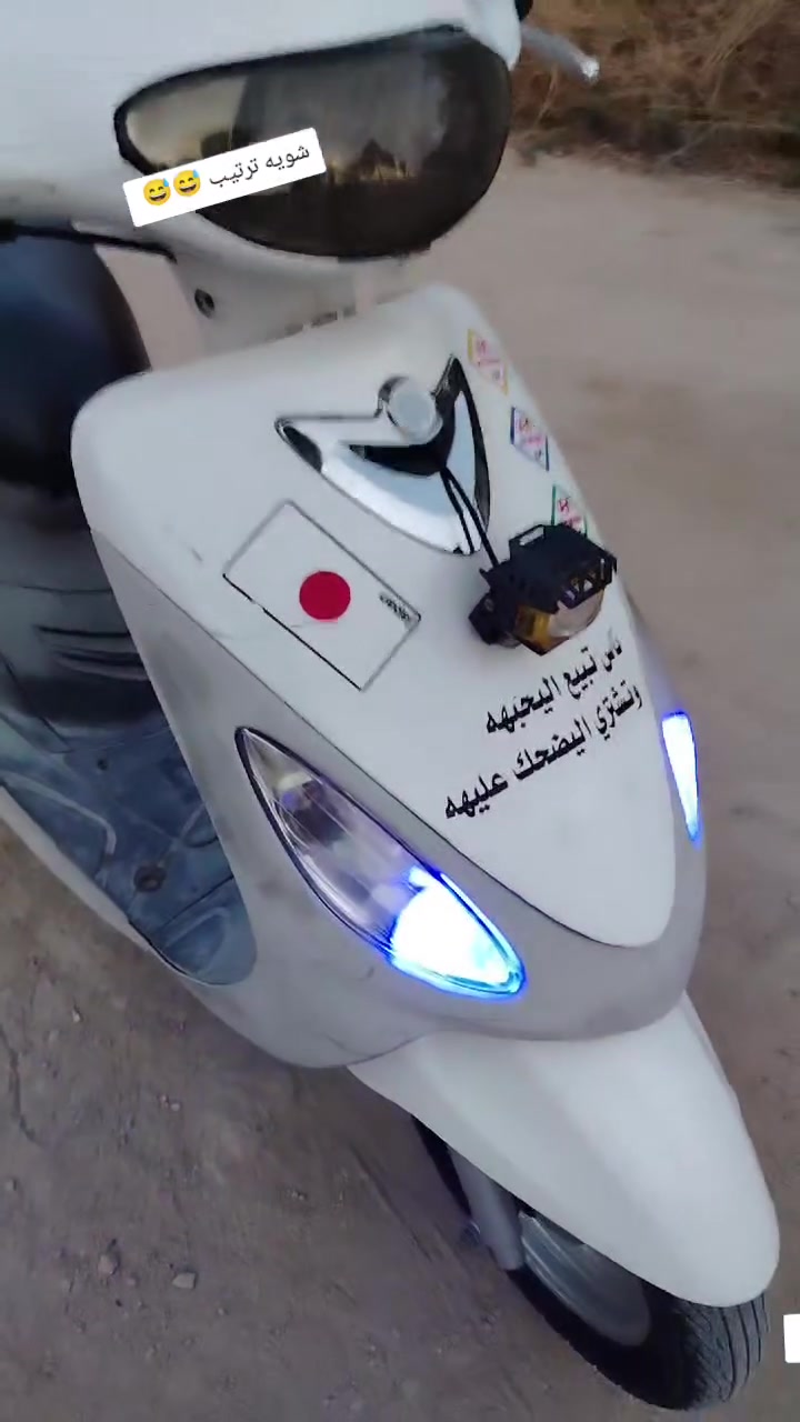 ماكس منغولي • للبيع
