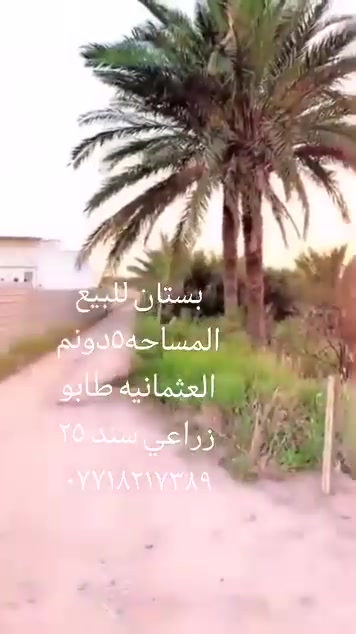 لا توجد تفاصيل

