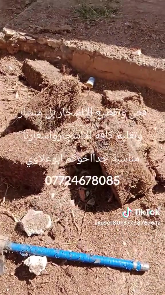 موجود اصطه ميشار خشب اي شجرة كبيره اقصه الك وبسعر مناسب شقلنه داخل كركوك اتصل واجيك لباب بيتك هاذا رقم ***********
