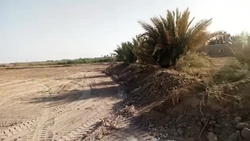 أم عباسيات • طابو زراعي • ٣٥٠٠م