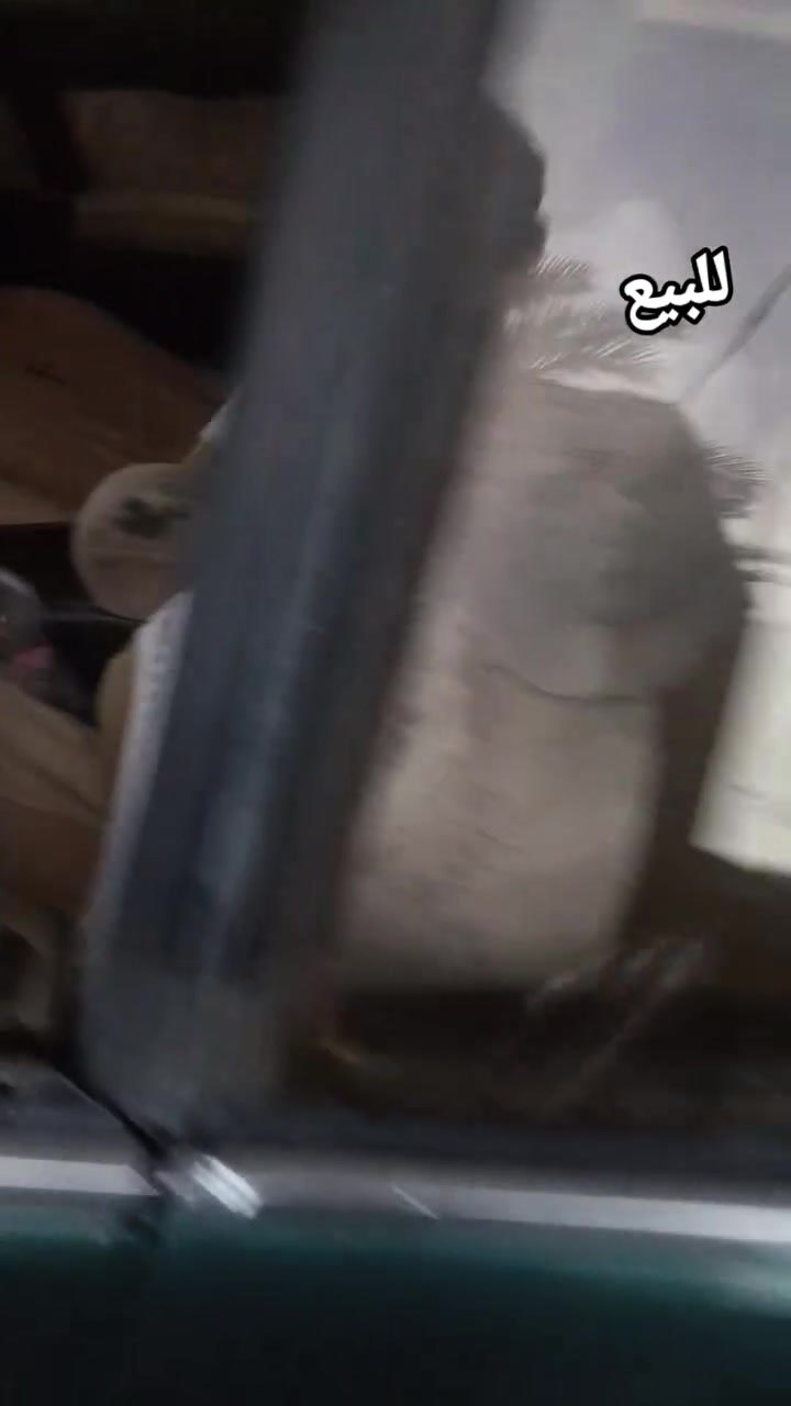 محرك جديد • شاشة وكاميرا • سنويه ساقطه