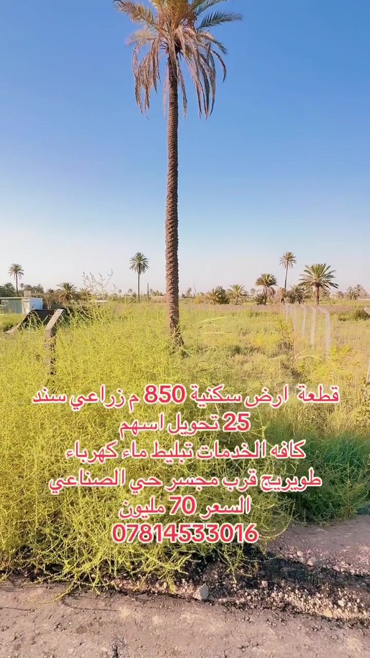 طويريج • ٨٥٠م • سند ٢٥ تحويل أسهم