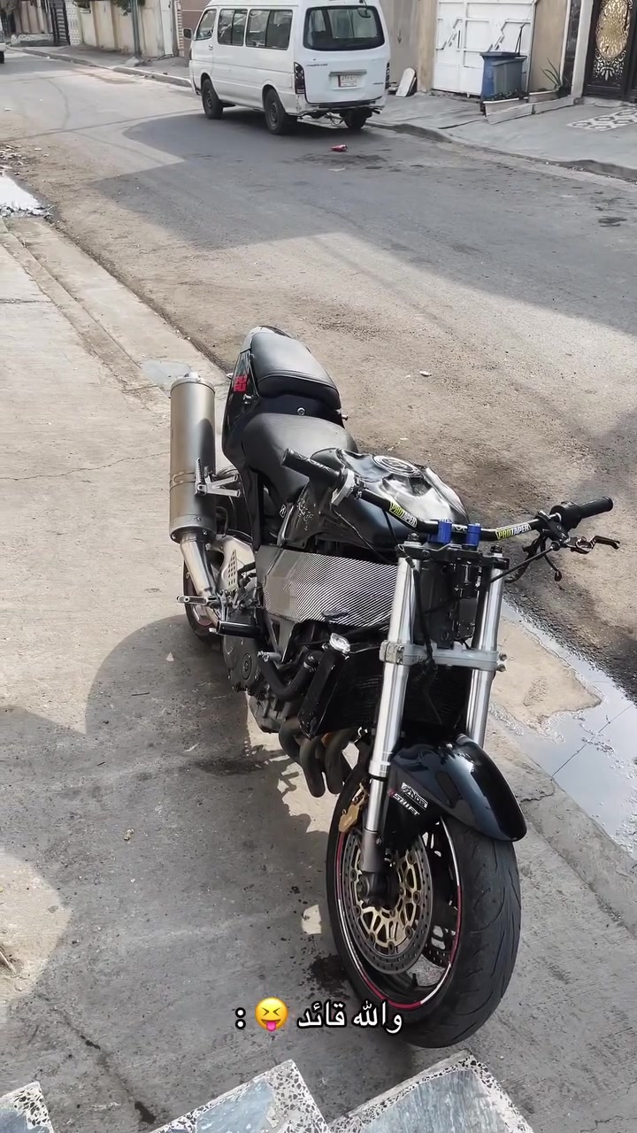 بطح • RR954 • بدون اوراق