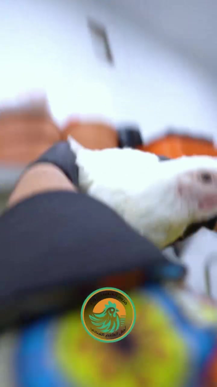 بيروت صارت داخل بغداد! 🇱🇧✨
يسعدنا ويشرفنا أن نعلن عن انطلاق خدمة مطعم ريحانة بيروت (فروج رحانة بيروت) في قلب السبع أبكار لنضع بين أيديكم أروع وألذ النكهات اللبنانية الأصيلة التي حضّرت بعناية فائقة لتلبي ذوقكم الرفيع من أشهى أطباق الدجاج المشوي على الفحم وطواجن الفرن الغنية إلى جانب المقبلات الطازجة التي تُكمل لذة السفرة نوفر لكم خدمة التوصيل السريع لنصلكم أينما كنتم لتستمتعوا بوجبتكم المفضلة طازجة وساخنة وبأعلى معايير الجودة والنظافة التي تستحقونها
🛵 للطلب والتوصيل السريع:
***********
***********
📍 موقعنا: الأعظمية - سبع بكار - قرب محطة الوقود
حياكم الله، ونسعد دائماً بخدمتكم! ✨
