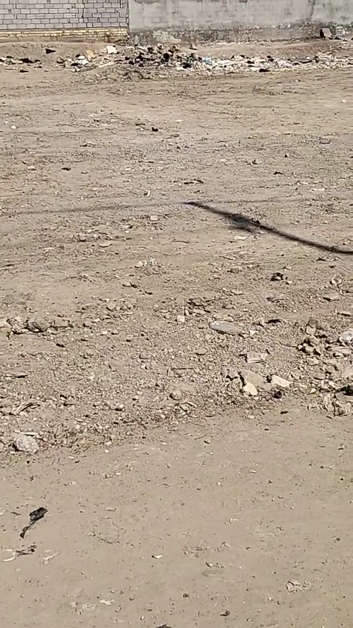 قطعه زراعي ركن على شارعين تبليط للبيع حي الجوادين شارع سيد وحيد مقابل معمل العصير للاستفسار ***********
