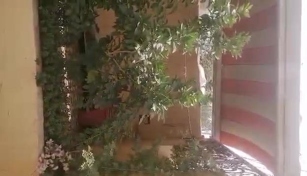 ٢١٠م • ٤ غرف • جيج بعقوبه