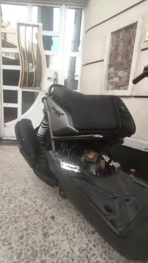 سكنس جبلي • ياباني • ٢٠١٣