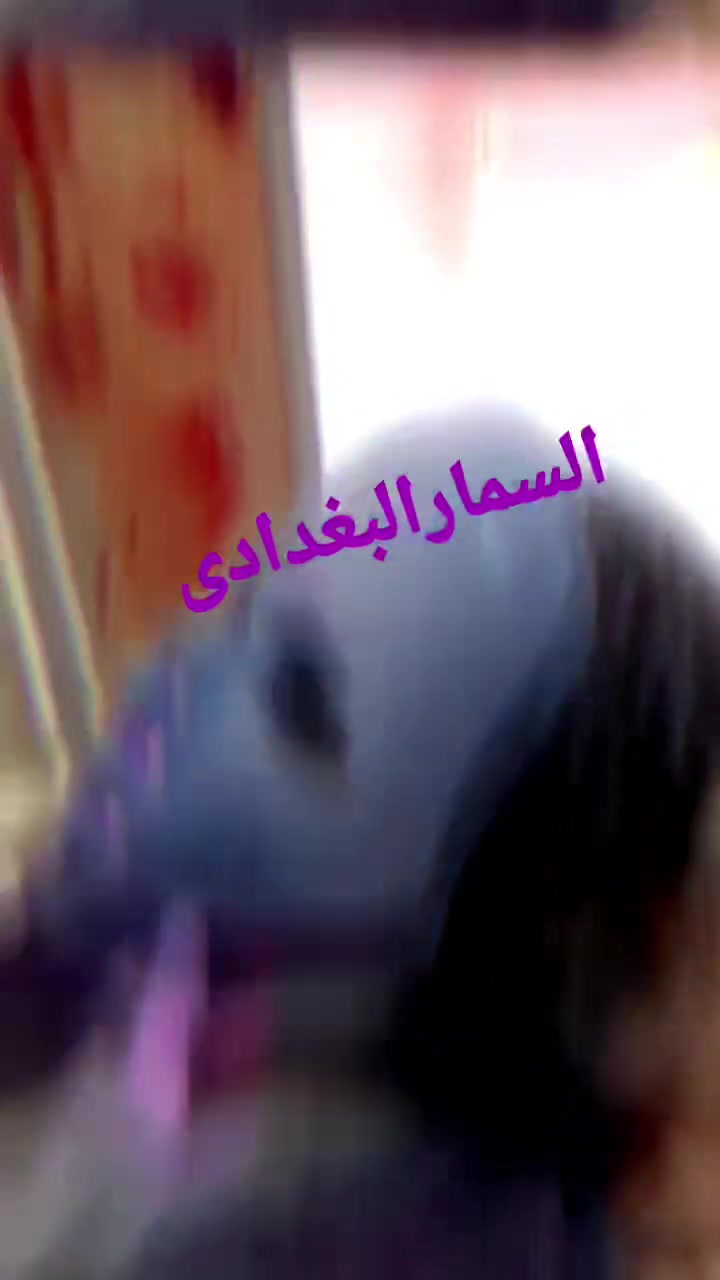 مساء الخير والعافيه اعتبارا من يوم السبت القادم اسويلكم عروض  على شغل الصالون لمده اسبوعين 

تسريح معالج  للشعر // هديه تنظيف الوجه بالشمع والخيط  معالج قناع النظاره و قص ✂️ 

تنظيف البشره العميق بجهاز الهايدروفيشل// هديه تنظيف الوجه شمع وخيط كامل وقناع النضارة

صبغ كامل للشعر // هديه قص وشيسوار

صبغ وتخصيل للشعر // هديه قص 

صبغ جذور الشعر // هديه معالج الكافيار 

تنظيف القدم// هديه شمع البارافين 

للإستفسار والحجز الاتصال او مراسله الأرقام واتساب 

***********
***********

صالون السمار البغدادى.  هفلان // فرع الاسايش
