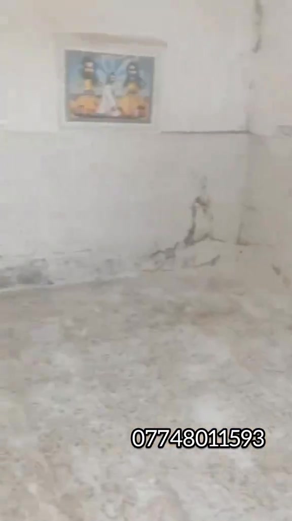 نص قطعه 72 متر قطاع 29 مريدي سوق الطباخات بناء جديد طابقين ((للايجار للايجار)) شرط الايجار لو موظف لو منتسب البيت كله سيراميك ***********أبو ياسين هاذه رقم صاحب لبيت واذا تريد شوف لبيت هاذه رقم دلال مكتب الرحمان *********** عذرن غير موجود على نت خابر
