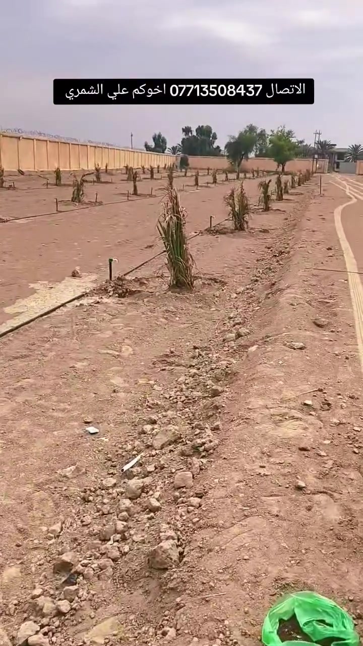 الرضوانيه • مزرعة • بيع النخيل