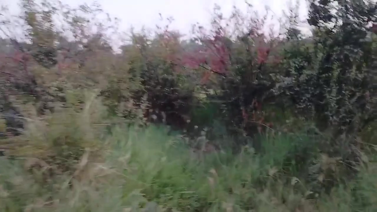المساحه دونم وربع  المكان قرب جسر الصويره جويميسه الغربيه واجهه 50 الاستفسار على بعد ***********
