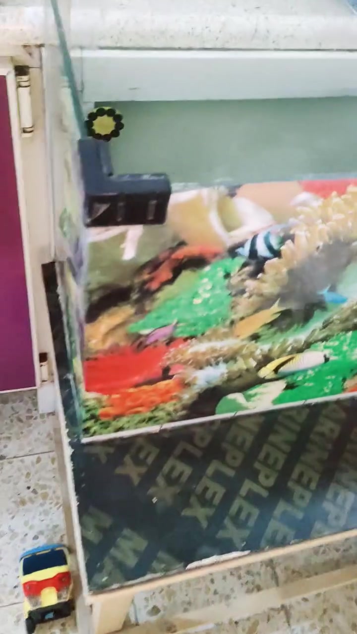 حوض مال سمج سعره 50وبيه مجال تواصل ع هذا رقم ***********
