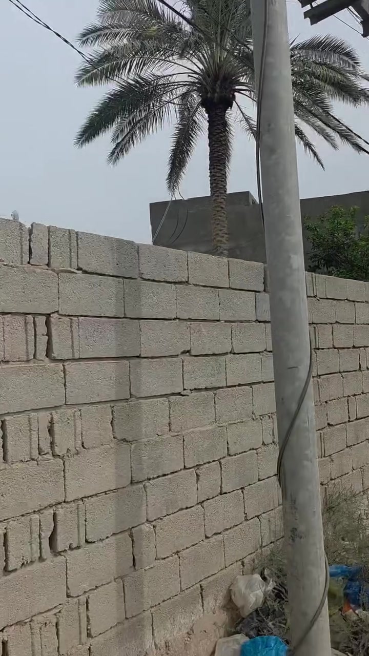 تجاري • ٣٠٠م • البوبيات