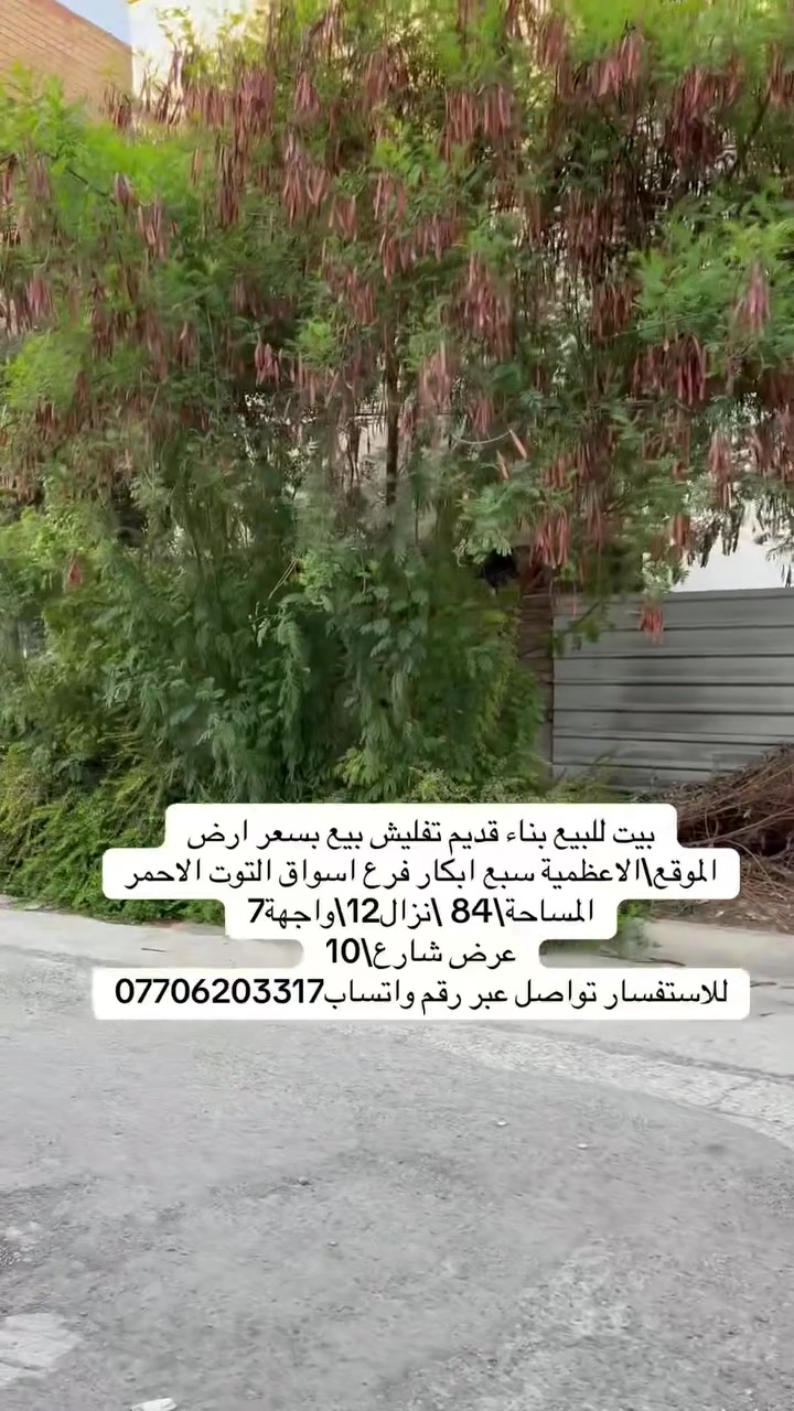 طابوا ملك صرف
رجاءً اي استفسار واتساب اني مكلف بالنشر ***********
