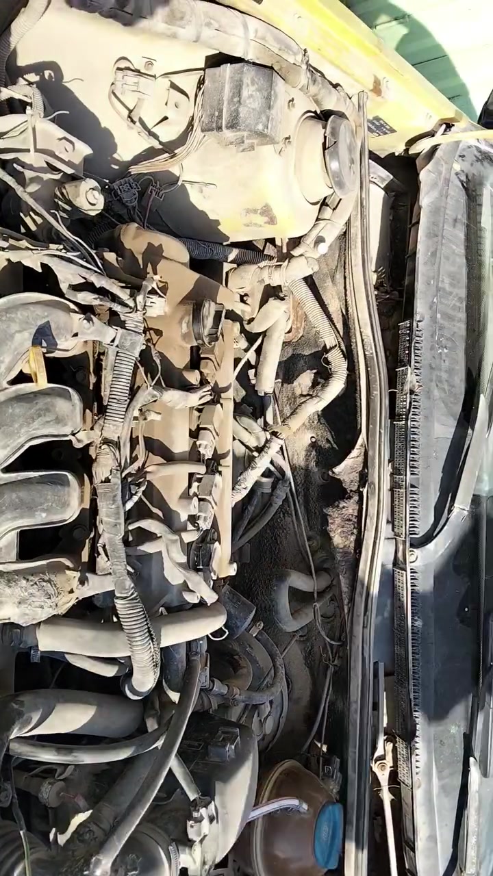 اسلام عليكم من رخصت الدمن شيري كوين تفصيخ محرك نضيف كيرنضيف ايواحد يحتاج غراض منها موجود العنوان ساحت الطيران خلف تانكي الماء الهاتف ***********
