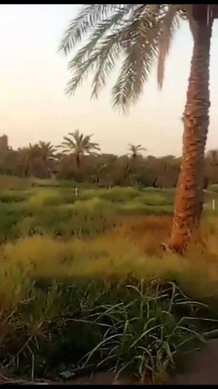 دوانم للبيع  سند ٢٥ وبيهن عقد ١٧  مدخل ركه حجي سهيل مقابيل جسر جورجيه قريبات على شارع العام  خدمات موجوده  *********** وتفاصيل أكثر اتصل على رقم ملاحظه يرهمن مزرعه أو تقسيم قطع او مخازن
