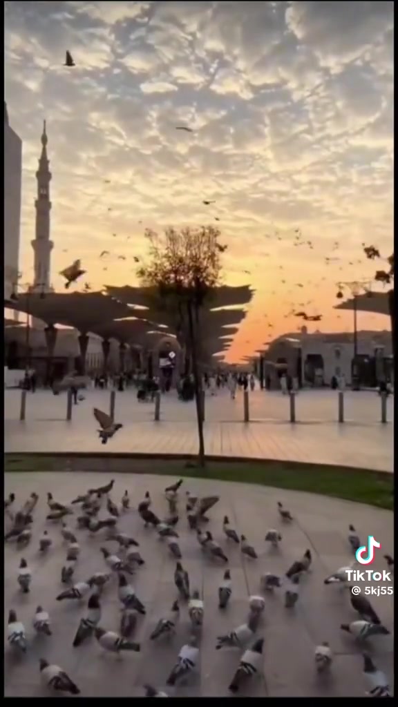 #الاخوة_الكرام
#نود إعلام الإخوة الأعزاء المتصلين والذين يسألون عن موعد رحلاتنا القادمة إلى الديار المقدسة لأداء مناسك العمرة، نبين لكم الموعد كالآتي:
🚌 #رحلة البر: يوم 5 / 10 / 2026
#فنادقنا القريب عن الحرم مشيا ع الاقدام + طعام بوفيه مفتوح
 فقط... تعال بقلب مشتاق
#عمرتك علينا، راحتك مسؤوليتنا—احجز الآن وكن من ضيوف الرحمن
#للتواصل: الاتصال على الارقامً التاليه
***********
***********
#نسأل الله أن يرزقنا وإياكم زيارة بيته الحرام
#ضيوف الرحمن... في عيوننا حجي وليد
