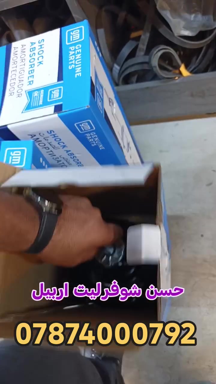 تريل بلايزر • دبل • كوبي