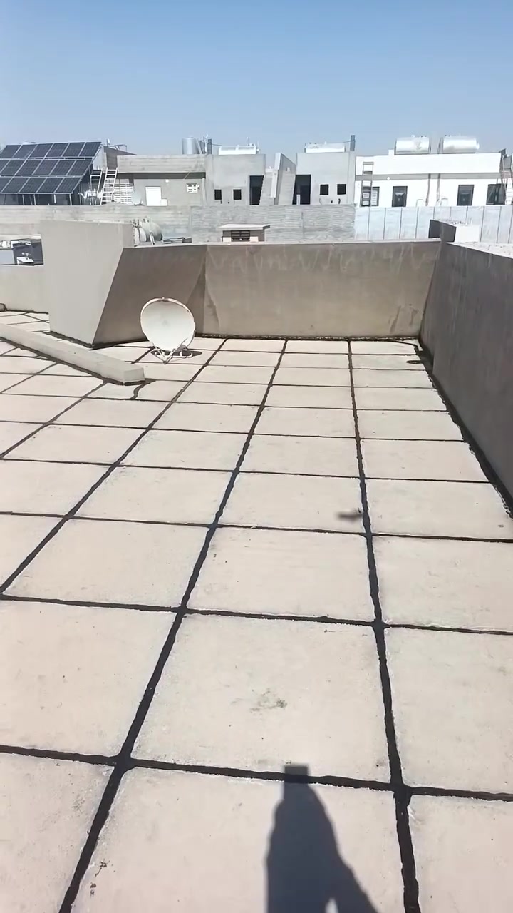 اصطه ماستيك وايزكام وفلانكوت ***********

