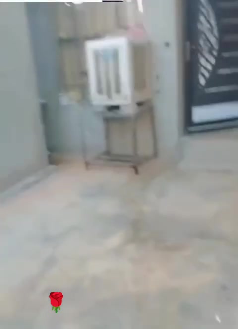 الصالحي • ١٠٠م • بيت نظيف