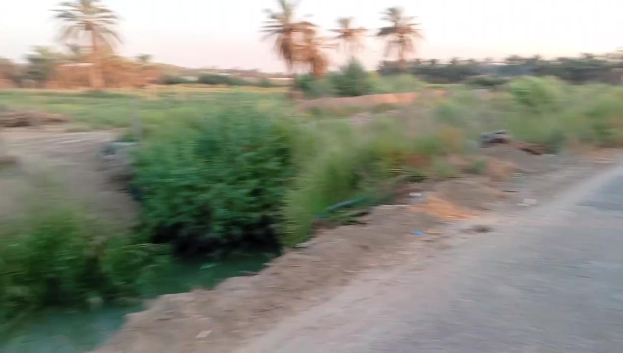 العلاك • ١٠٠٠م • طابو زراعي