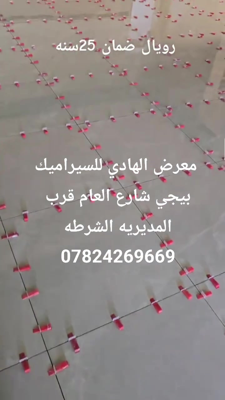 رويال • لاصق البناء • كميات كبيرة