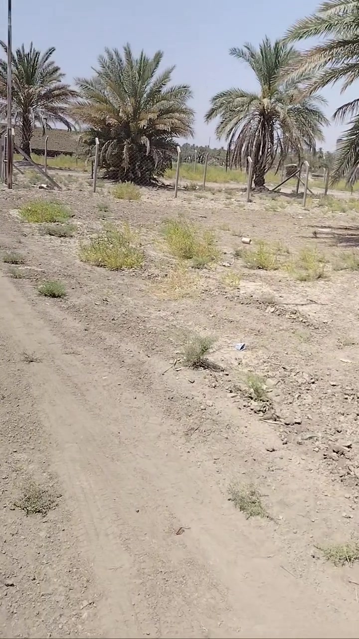 قطعه للبيع طابوزراعي مساحه 600 متر عنوان الحمزه الغربي حي بابل الزراعي بشارع القاعه القديمه السعر 54 للاستفسار ابويوسف العنزي للعقار ***********
***********@

