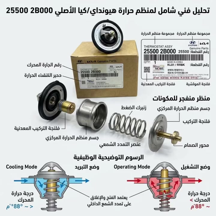 كيا • الشعب • بي في سي