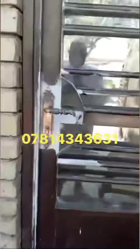 شقه ارضيه • العامرية • سكن فارغ