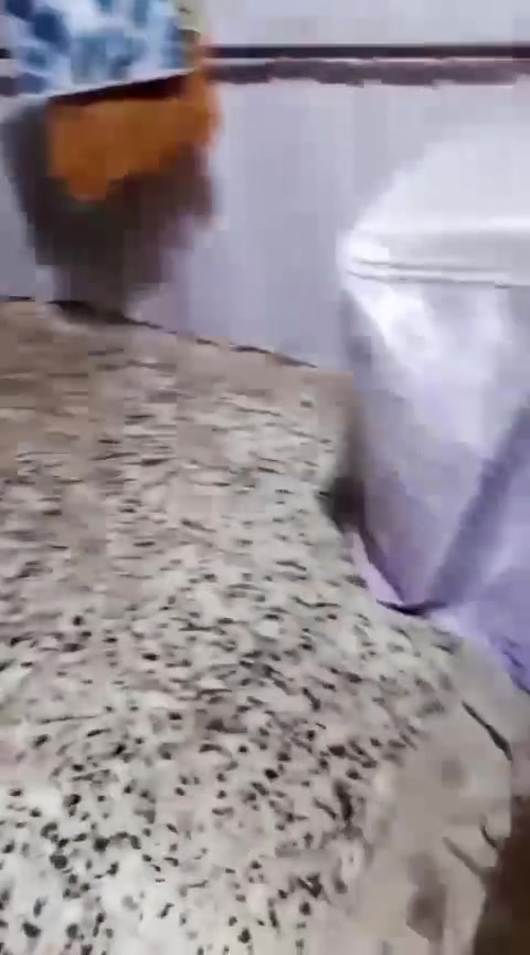 بيت للبيع واقع حال قرب الامن العامه بلديات شارع شقق الفلسطينية لبيت مكمل من كلشي صحيات وكهرباء وماء مكلف بالنشر اتصل وبيك خير وتتدلل ***********

