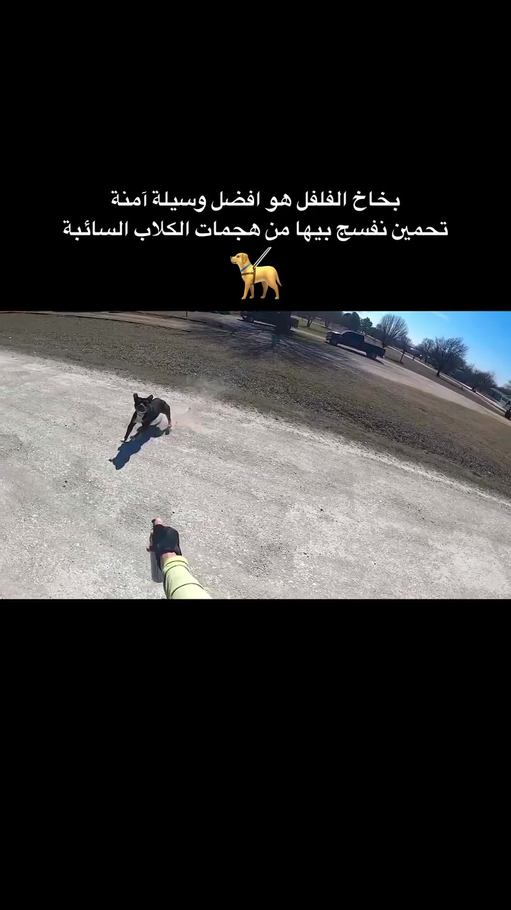 بخاخ فلفل • دفاع عن النفس