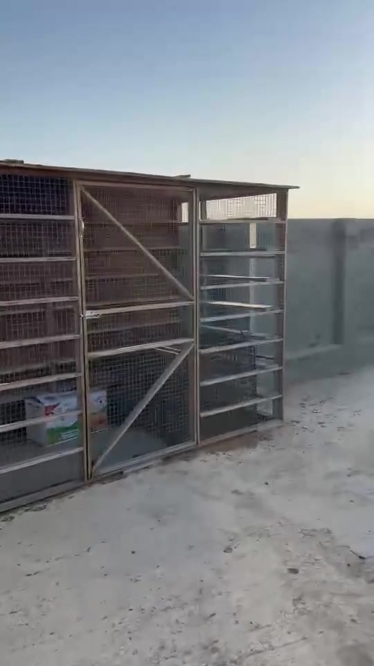 قفص • ٦م • درجة أولى