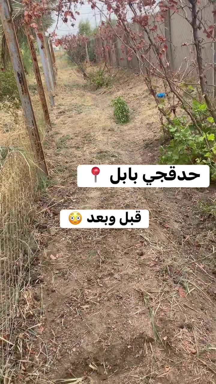 تنظيف حدائق • زراعة ثيل • بابل حله