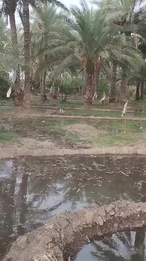 كربلاء الحسينيه • شارع الحافض • ٢٠٠م